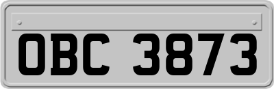 OBC3873