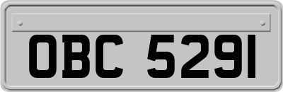 OBC5291