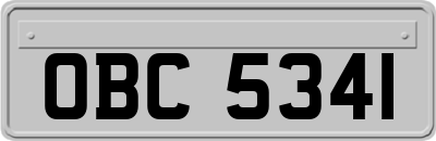 OBC5341
