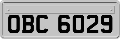 OBC6029