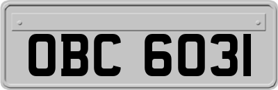 OBC6031