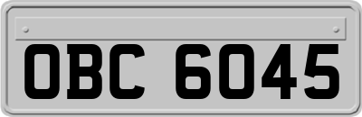 OBC6045