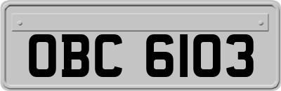 OBC6103
