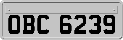 OBC6239