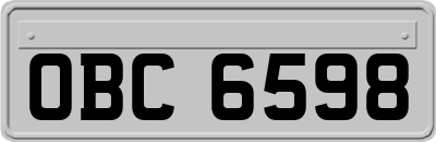OBC6598