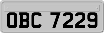 OBC7229