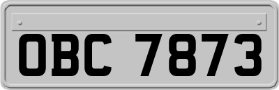 OBC7873