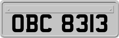 OBC8313