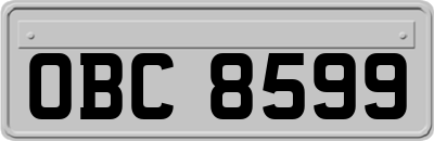 OBC8599