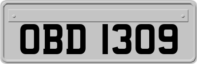 OBD1309