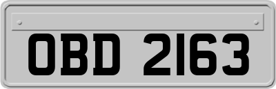 OBD2163