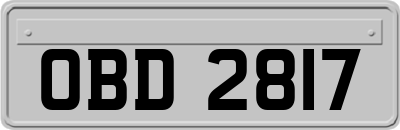 OBD2817