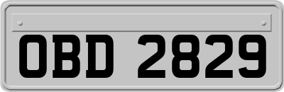 OBD2829