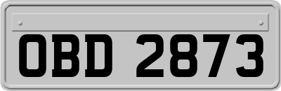 OBD2873