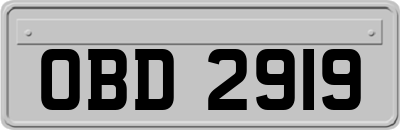 OBD2919