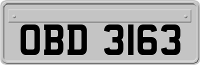 OBD3163