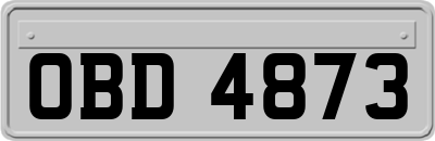 OBD4873