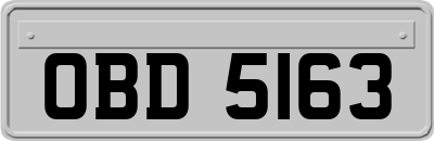 OBD5163
