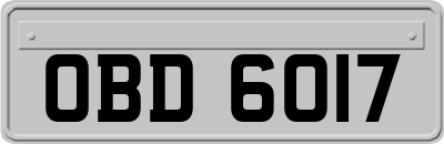 OBD6017