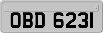 OBD6231