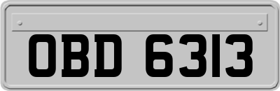 OBD6313
