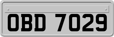 OBD7029