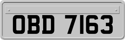 OBD7163