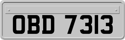 OBD7313