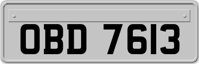 OBD7613