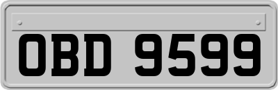 OBD9599