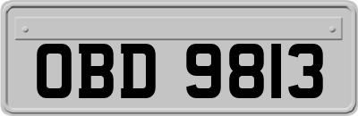 OBD9813
