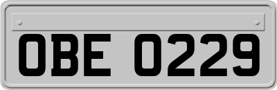 OBE0229
