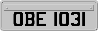 OBE1031