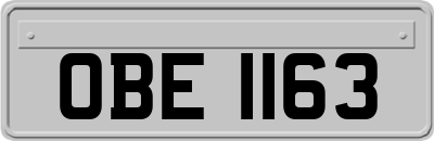 OBE1163