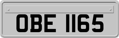 OBE1165