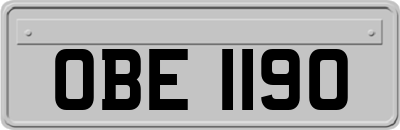 OBE1190