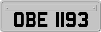 OBE1193