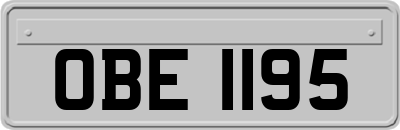 OBE1195