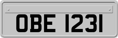 OBE1231