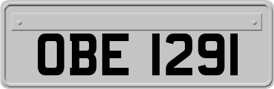 OBE1291