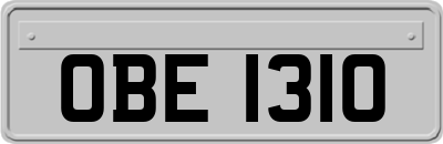 OBE1310