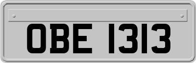 OBE1313
