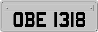 OBE1318