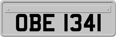 OBE1341