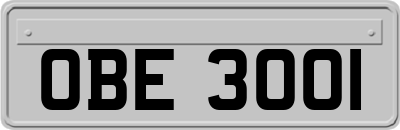 OBE3001