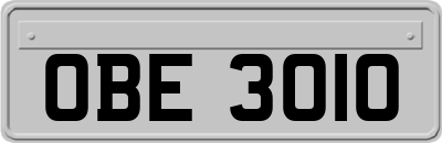 OBE3010