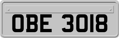 OBE3018