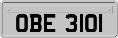 OBE3101