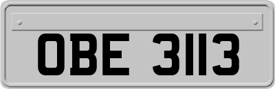 OBE3113