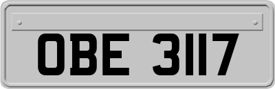 OBE3117